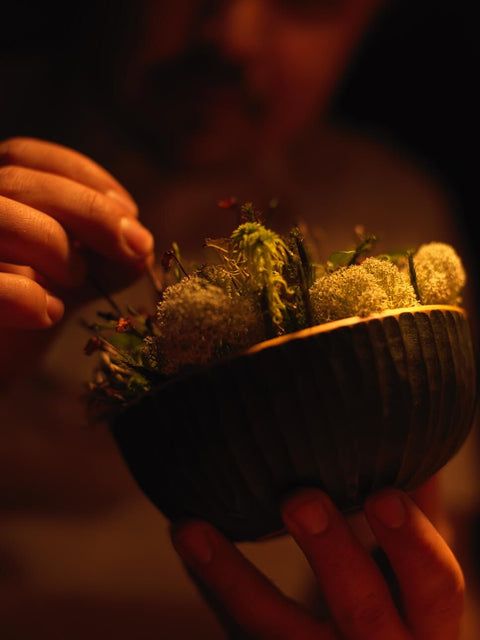 Misty Forrest for Michelin Restaurant Grön Crafted by Wood Artisan Jonas Als